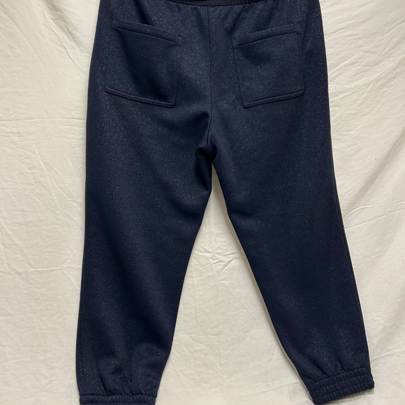 Navy Sparkly Cuffed Dress Pants - Picture 5 of 7